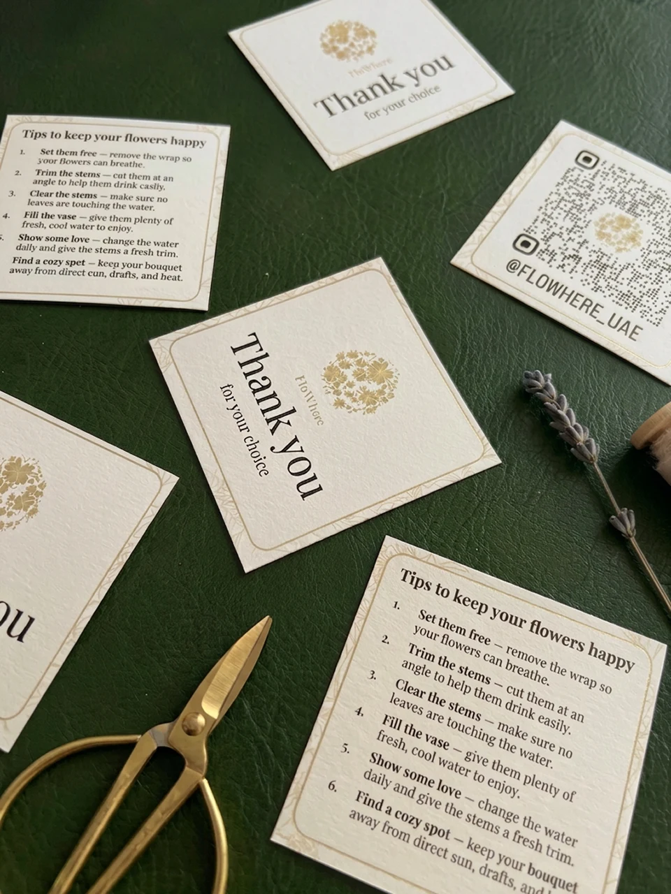 FloWhere — Flower-care card featuring the original brand identity — by Sofia Andreeva