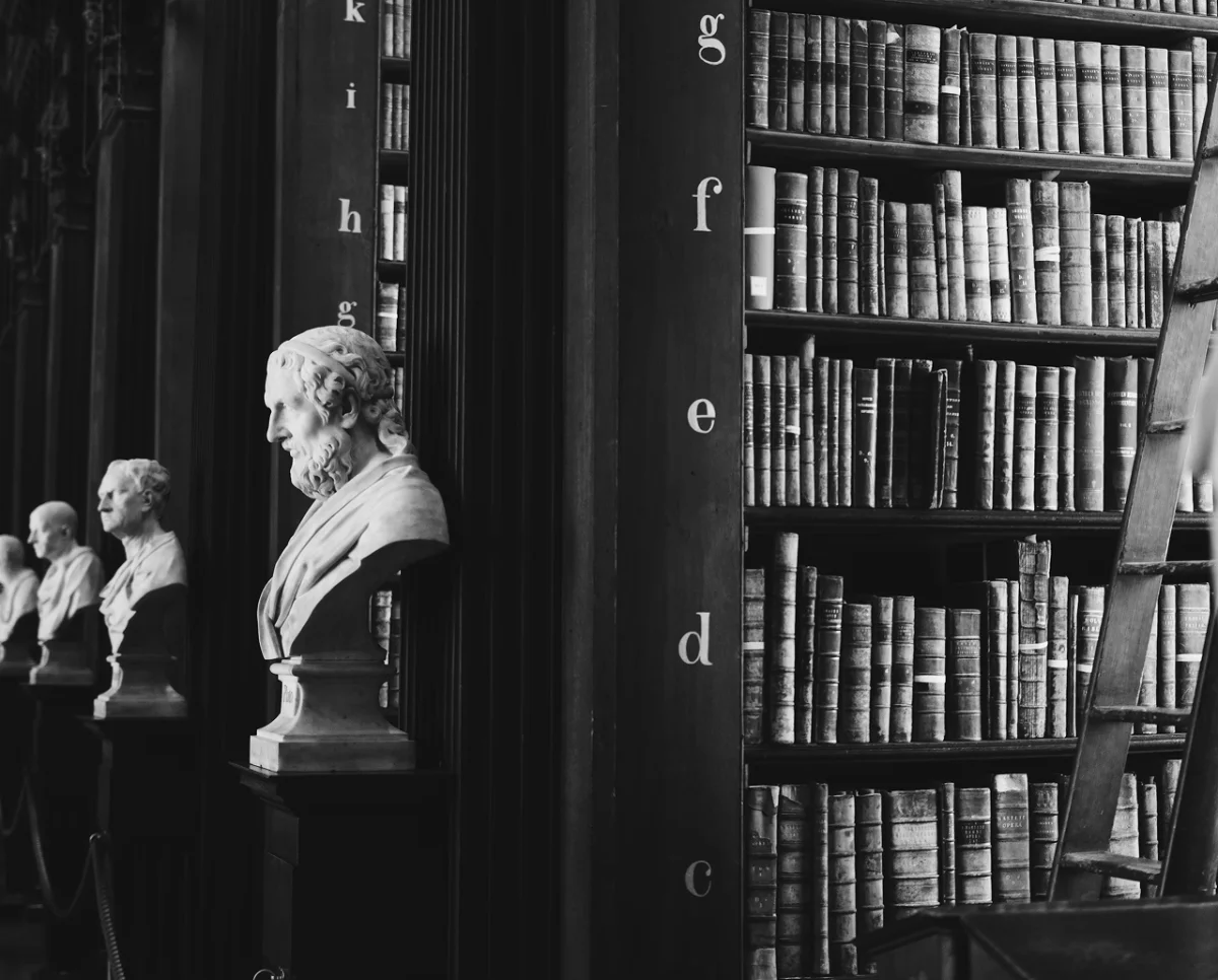 Makhsimov & Co. — Library-inspired illustration — by Sofia Andreeva
